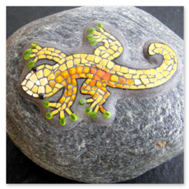 Salamander